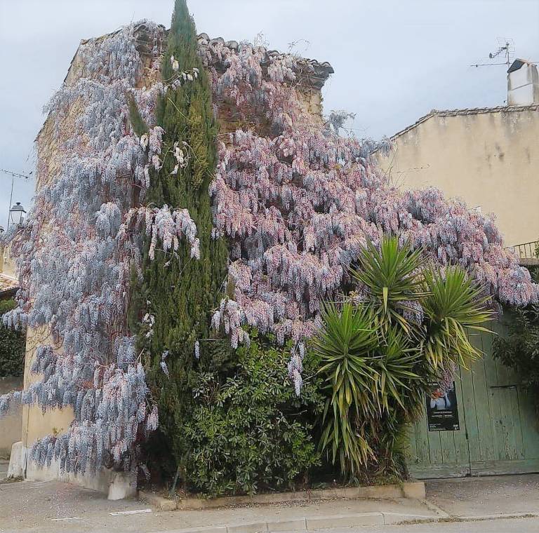 Appartement Gallargues-le-Montueux