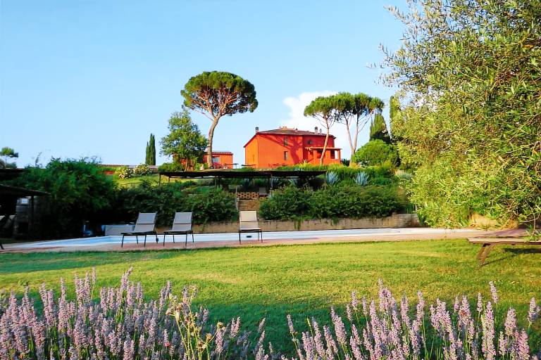 Civettaio: Civetta
