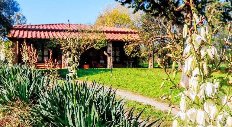 Farm with BBQ, garden & patio | Pets are welcome in Gavorrano