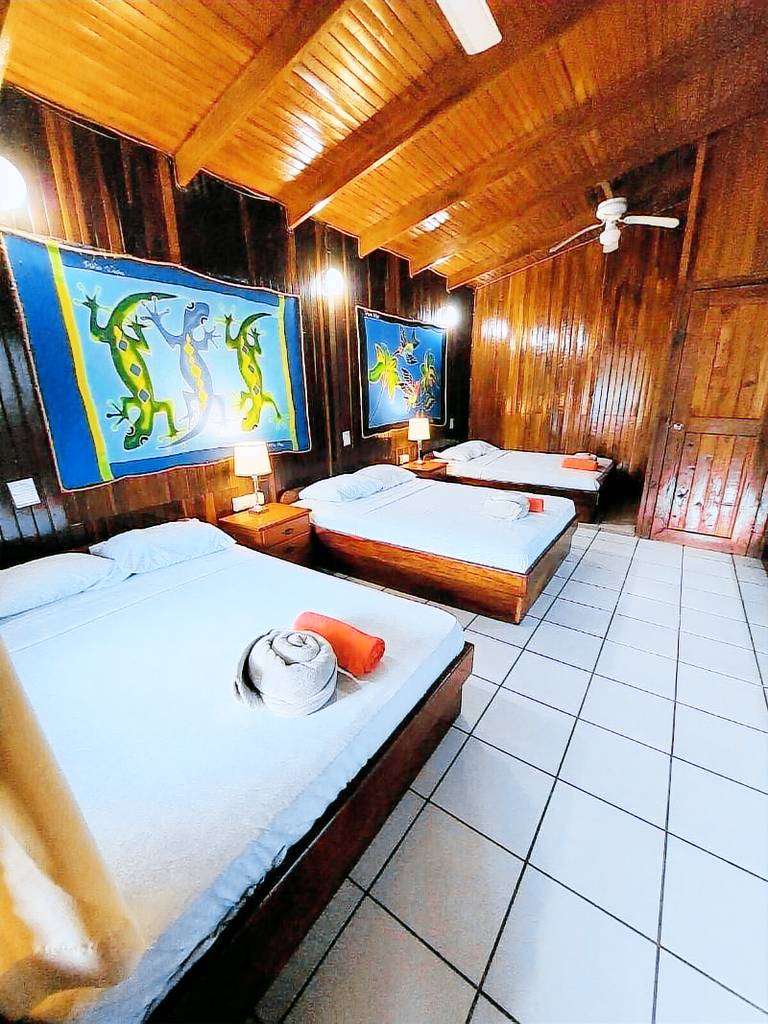Lodge with garden & terrace — photo 2