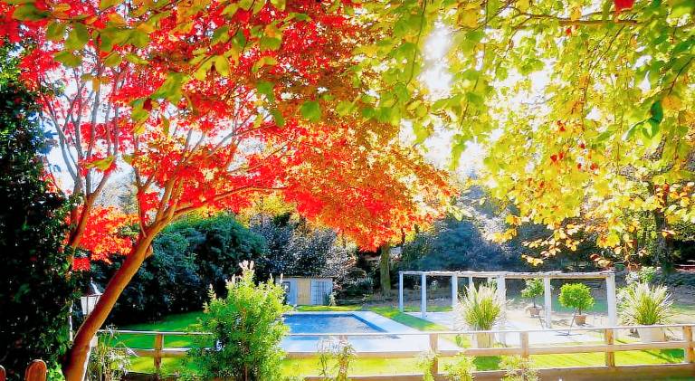 Eco-Resort Parco Botanico Fiorlago in Mergozzo