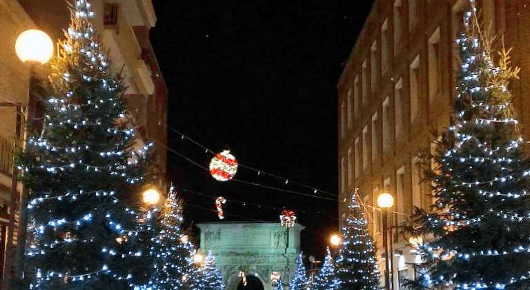 Arco dolce Arco — photo 4