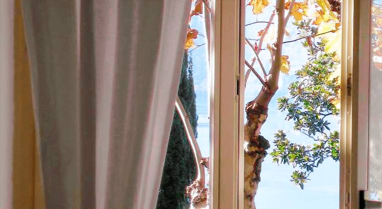 Hotel Firenze Lugano — photo 4