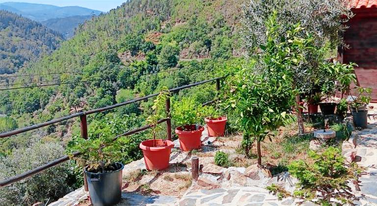 Wonderful chalet with barbecue, patio & private pool | Suitable for remote work | Pet-friendly — photo 2