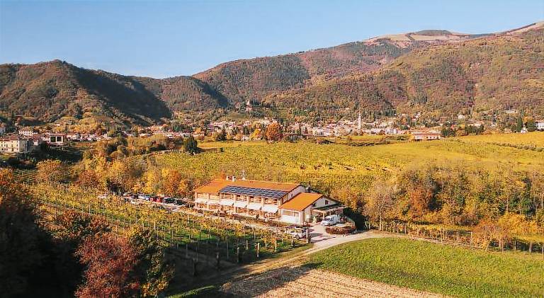Farm with patio & yard in Valdobbiadene