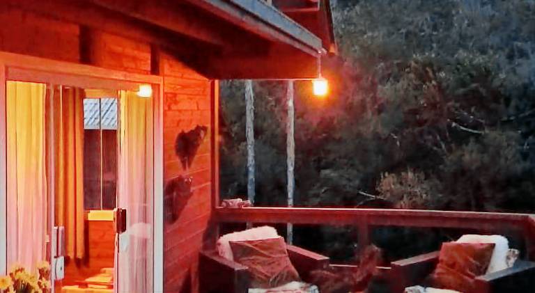 Chalet with garden — photo 2