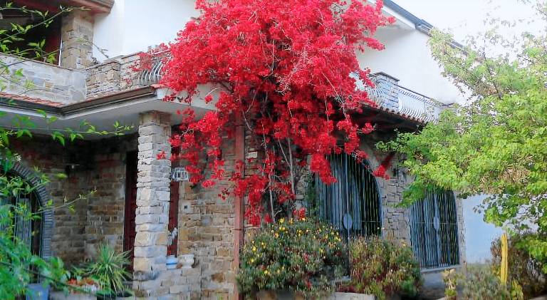 Big holiday apartment with pool & garden | Pet-friendly — photo 5