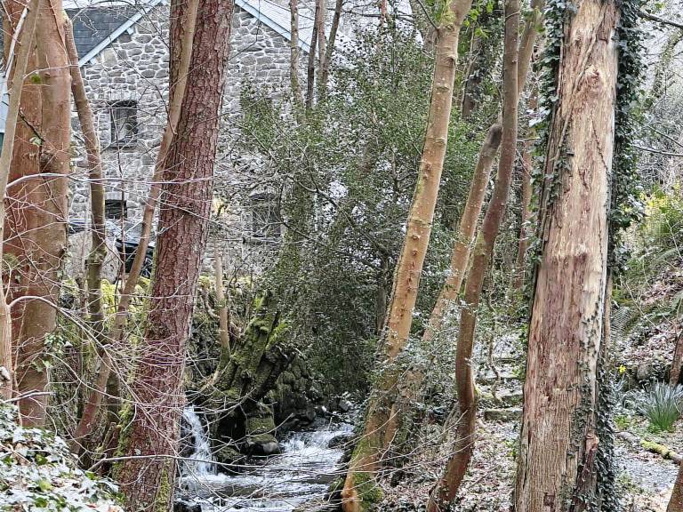 Family-friendly cottage with yard | Pet-friendly in Conwy