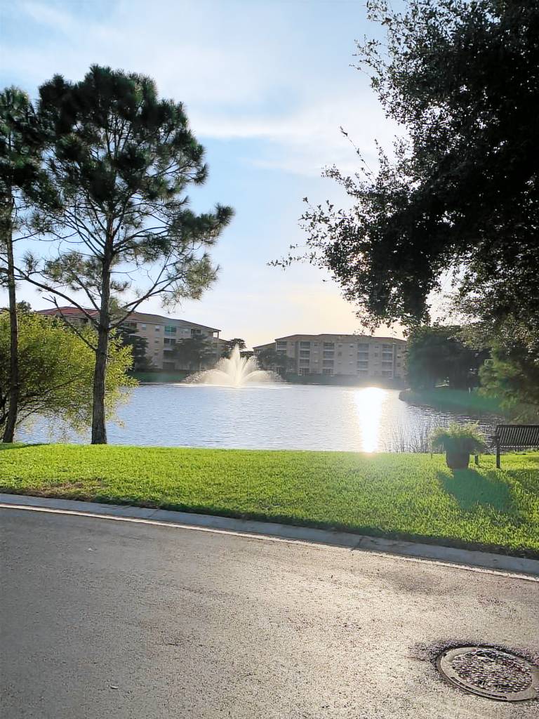 Condo  Page Park