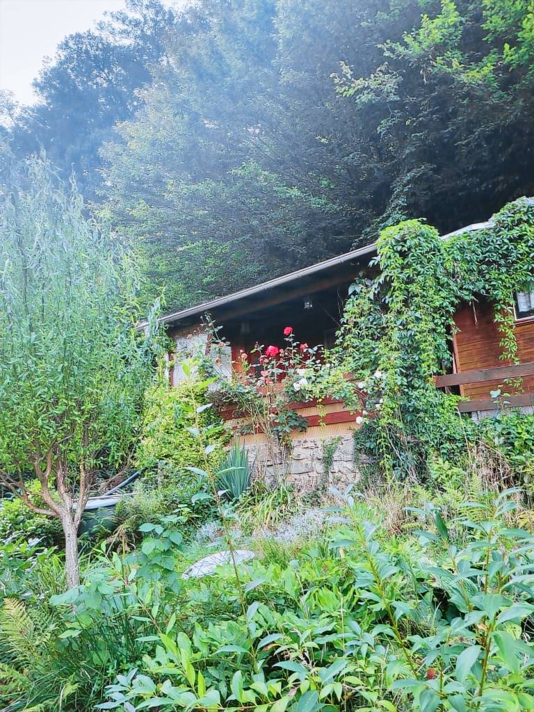 Hütte Rathen