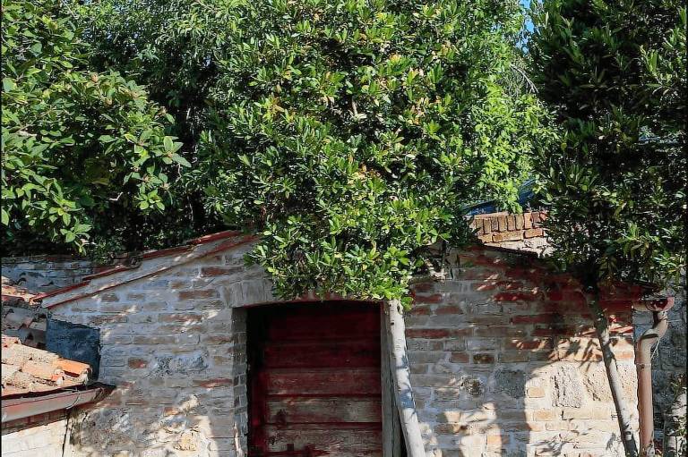 Bed & Breakfast  San Dalmazio