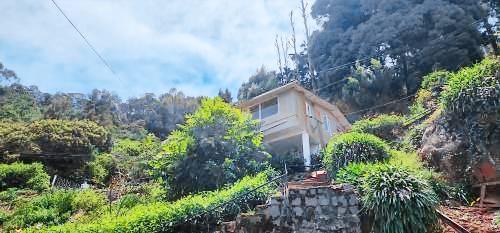 foto8