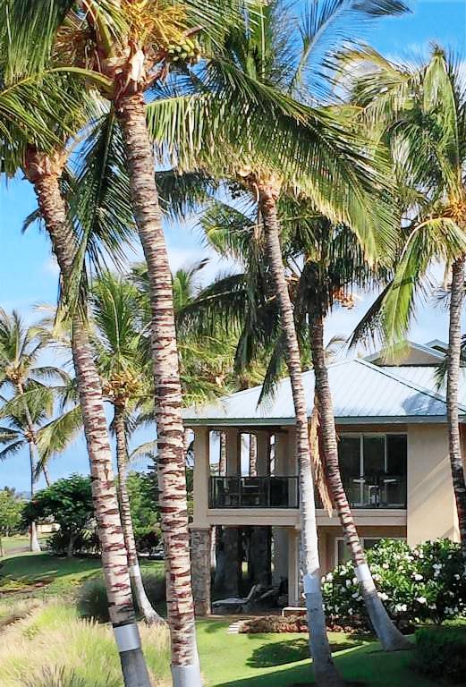 Appartement en copropriété Waimea