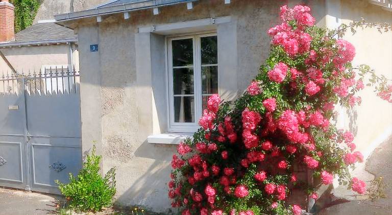 Charming house | Pets allowed in Loches