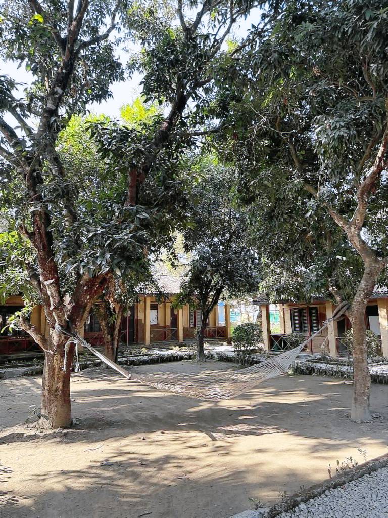 Hotel Chitwan Park Cottage — photo 5