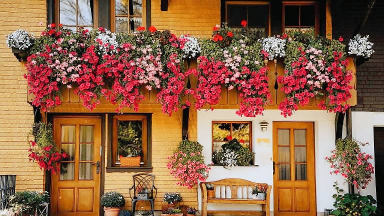 Ferienhaus Titisee-Neustadt
