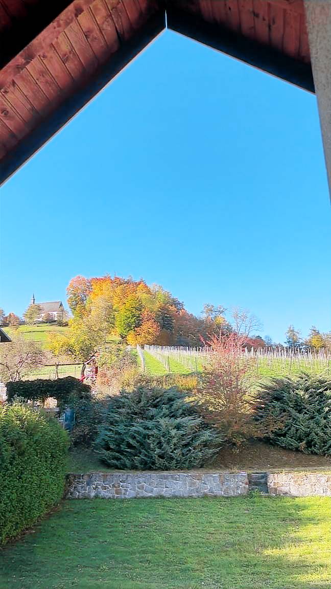 Ferienwohnung Bad Schallerbach