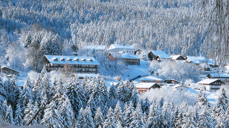 Apartmán  Bohmerwald