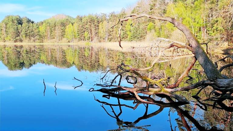 Ferienwohnung  Ludwigswinkel