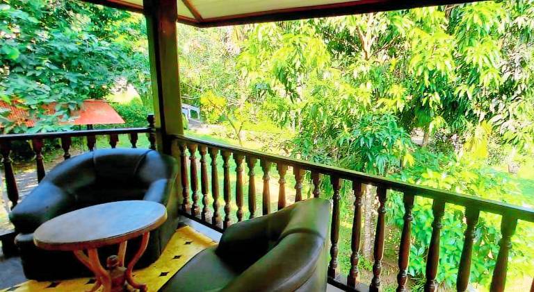Jungle House — photo 4