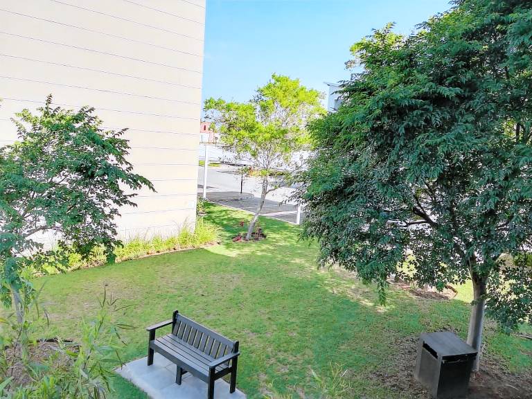 foto2