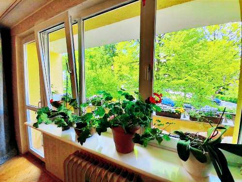 Apartment  Zaspa
