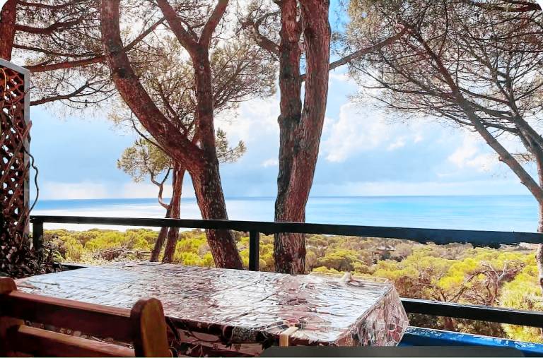 Ferienwohnung Livorno