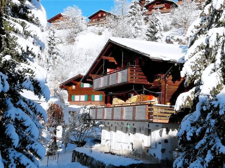 Fully equipped holiday apartment with patio & yard | Nature view | Ski nearby | Pets are welcome — photo 4