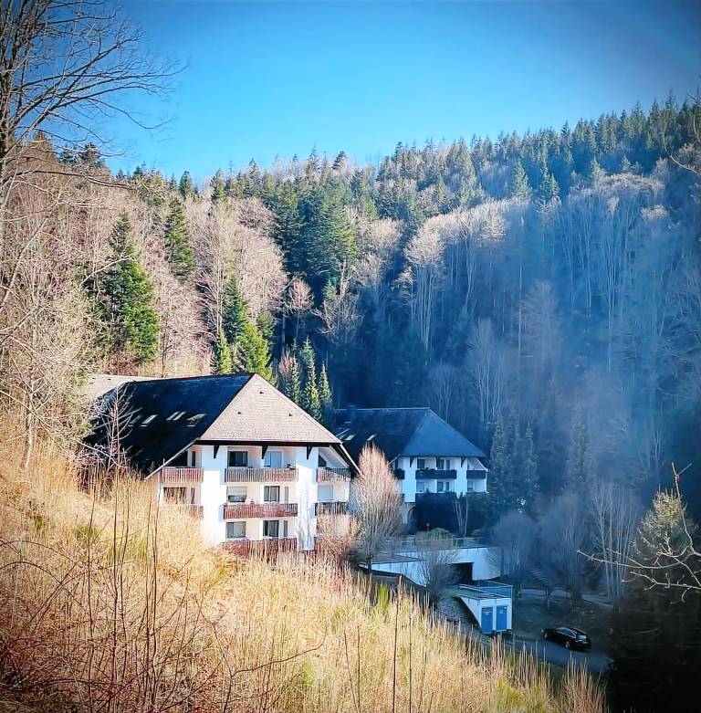 Apartment with 1 room for 3 persons in Triberg im Schwarzwald