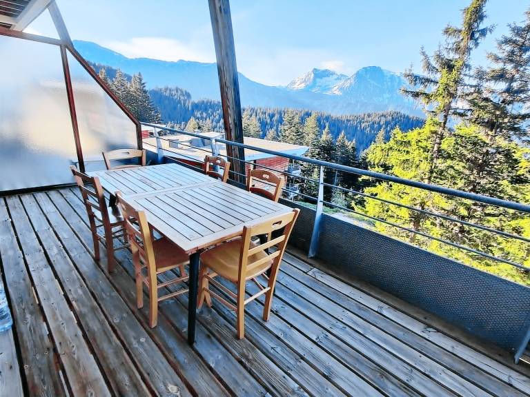 Chalet Chamrousse