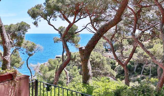 Appartement Rio Marina