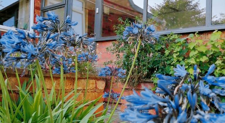 Featherbed Cottage — photo 5
