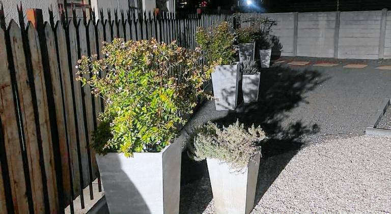 foto4