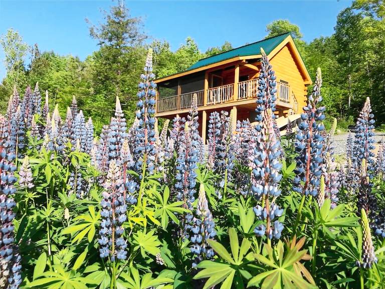 Cabin  Lunenburg