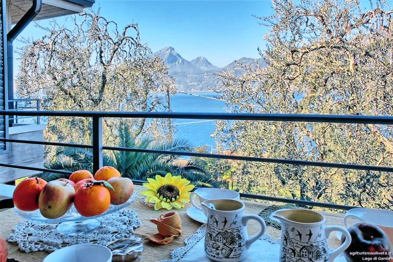 Camera privata Brenzone