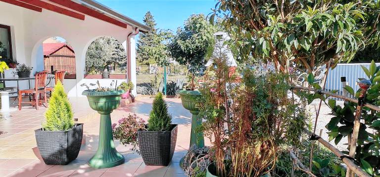 House with yard, BBQ & private pool — photo 4