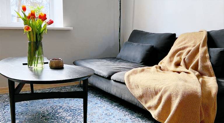 Rental apartment | Dogs allowed in Tallinn