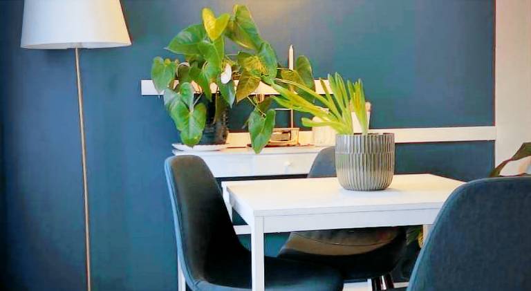 Rental apartment with terrace — photo 4