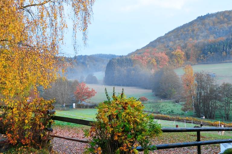 Landgut Pfauenhof — photo 3