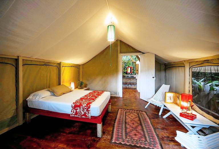 Outstanding Safari Tent Nestled Amidst Trees and Swimming Pool Provided in Jalcomulco, Veracruz — photo 3