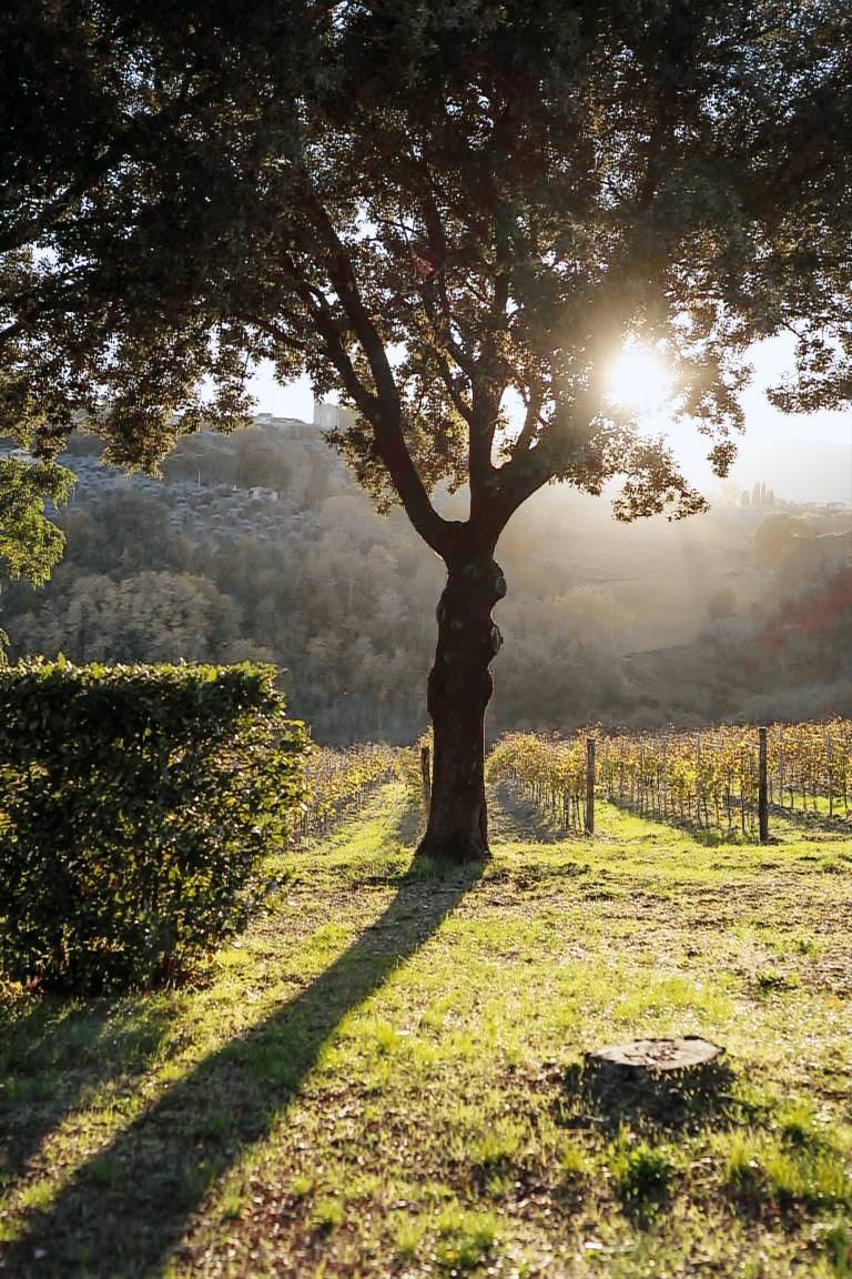 Appartamento Santo Stefano di magra