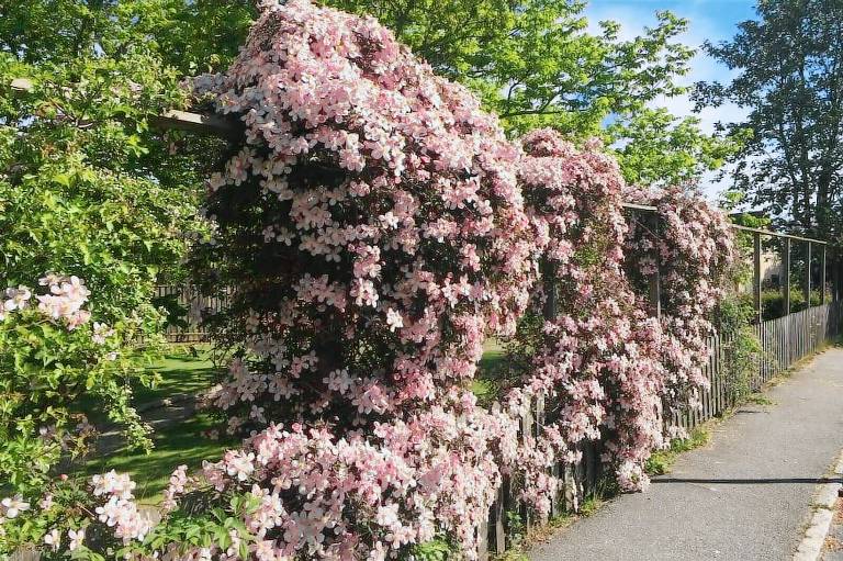 bed & breakfast Simrishamn