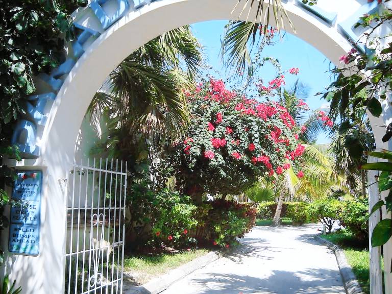 Condo San Pedro