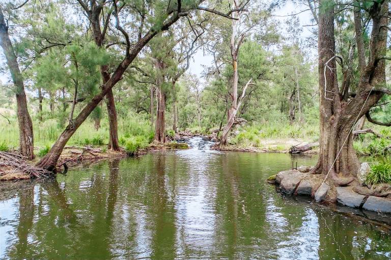 Cottage  Berrima