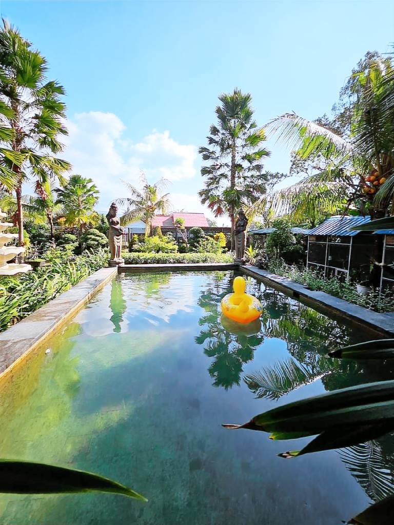 Charming house with terrace, private pool & garden | Dogs allowed in Bali