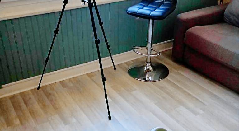 Apartment | Beach nearby | Pet-friendly — photo 2