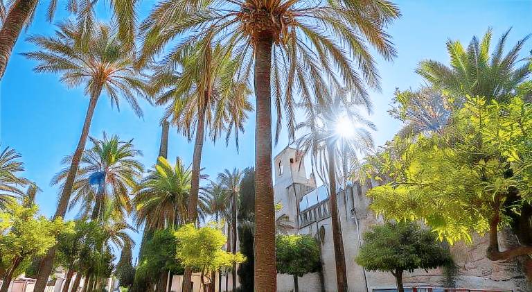 Apartment | Next to Mosque–Cathedral of Córdoba — photo 3
