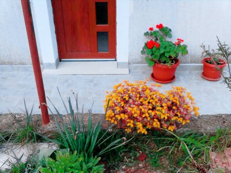 House with garden, patio & BBQ — photo 2