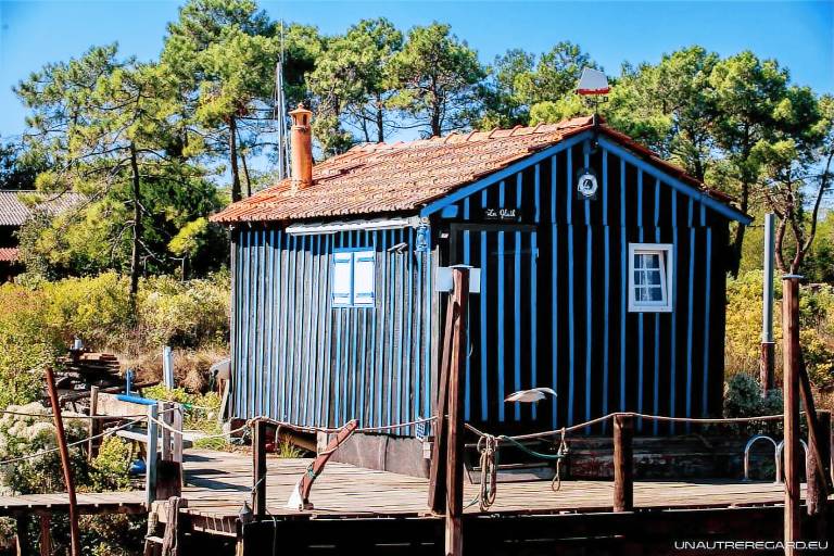 Chalet Bassin d'Arcachon
