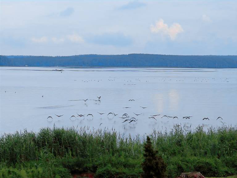 Ferienwohnung Meyenburg